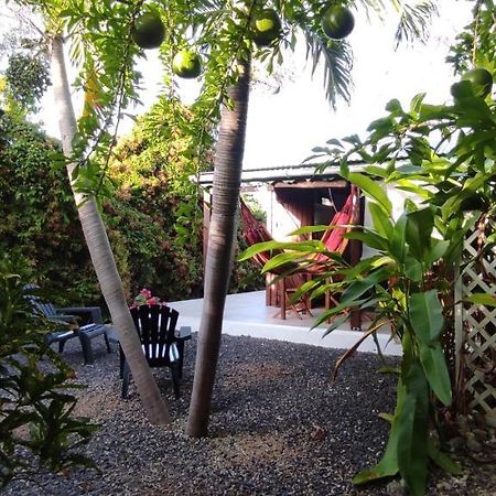 Bungalow Tout Confort Avec Piscine Partagee A 5 Mn De La Mer Saint-Francois  Buitenkant foto
